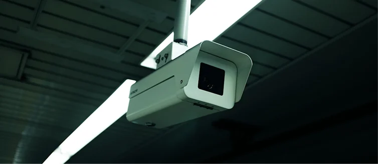 Night Vision Cameras